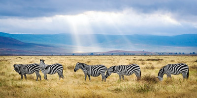 4-day tanzania camping safari - Photo 1