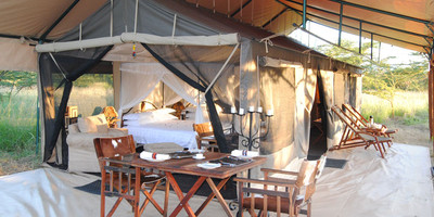 5 day tanzania wilderness lodges safari - Photo 2