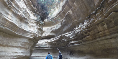 Full day hell's gate national park. - Photo 2