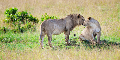 9 days kenya cultural tourism safari - Photo 6
