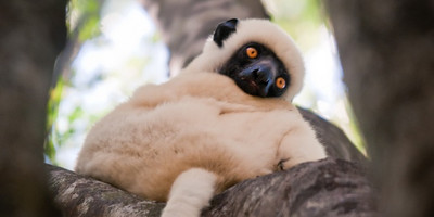Madagascar splendid east journey - Photo 4
