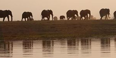 Tanzania classic bush safari adventure - Photo 5