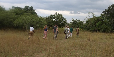 4 day murchison and chimpanzee trekking safari - Photo 3