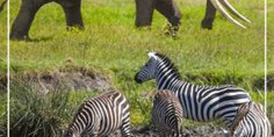 9 Days Wilderness Botswana and Victoria Falls from Windhoek (Lodging) - Photo 1