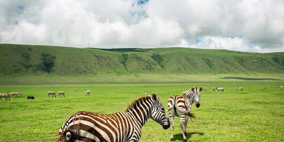 Three days serengeti - ngorongoro - Photo 2