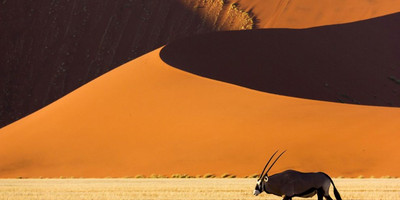 6 Days Namibia Express Safari - Photo 6
