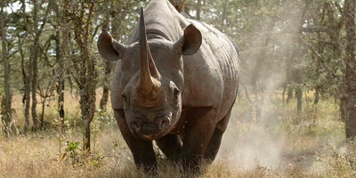 4-day wild escape: samburu national park & aberdares adventure - Photo 2