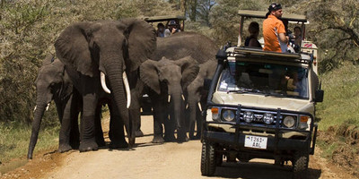7 Day Southern Tanzania Exploration Safari - Photo 7