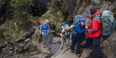 MOUNT KILIMANJARO-MACHAME ROUTE 7 DAYS TREKKING - Photo 10