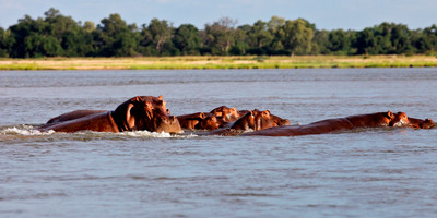 2 nights/ 3days - zambezi short canoe trail - Photo 3