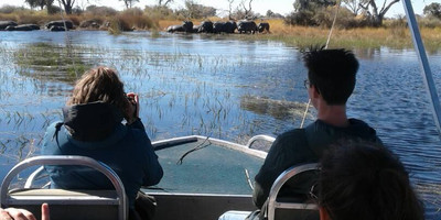 5 day big five safari in okavango delta, botswana - Photo 3