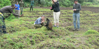 4 days rwanda gorilla tour experience - Photo 3