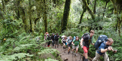 Affordable 6 days machame route kilimanjaro climb - Photo 7