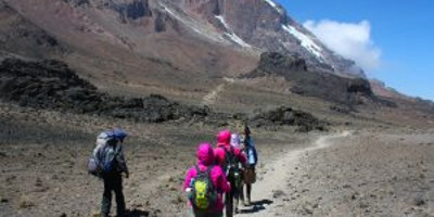 13 day gorilla, chimpanzee trekking and climbing rwenzori mountains adventure - Photo 1