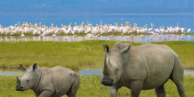 9 days epic african safari - Photo 1
