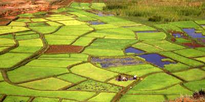 Discover the south of madagascar and relaxation - Photo 5