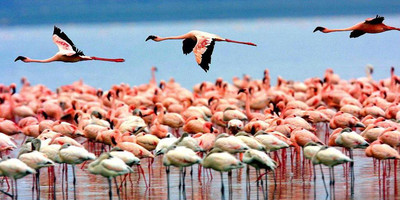 7 Day Safari to Northern Tanzania - Photo 6