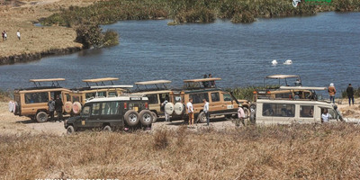 7 days murchison falls and kidepo thrilling safari - Photo 6