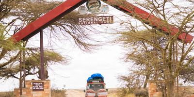 5 days tanzania safari - Photo 3