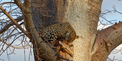 4-day tanzania camping safari - Photo 4