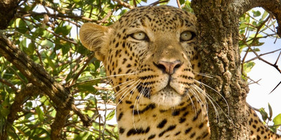 4-day tanzania camping safari - Photo 10