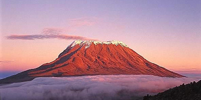 7 days kilimanjaro hiking via lemosho route with burigi chato safari co l.t.d - Photo 2