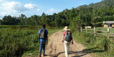 10 days wildlife expedition in western uganda - Photo 4