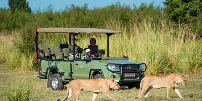 Mosi-oa-tunya national park, livingstone – game drive - Photo 1