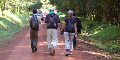 Luxury gorilla tracking safari in uganda (fly in) - 4 days - Photo 2