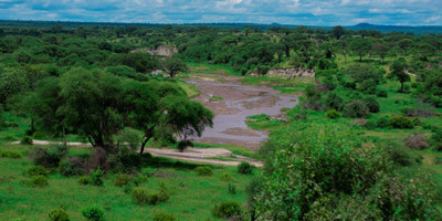 5 days tanzania camping (budget) safari - Photo 6