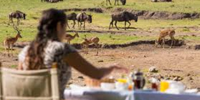 6 days serengeti wildebeest migration holiday safari tours - Photo 5