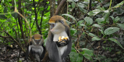 Explore ghana, togo & benin,14 days/13 nights - Photo 4
