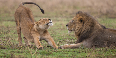 3 Days Etosha National Park Tour - Photo 7