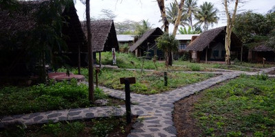 4 days camping tour to best wildlife parks in tanzania - Photo 1