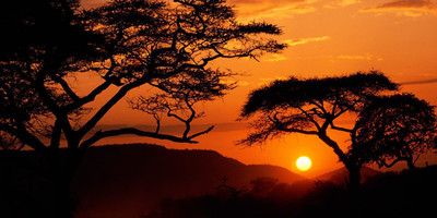 Unforgetable combined safari - Photo 4