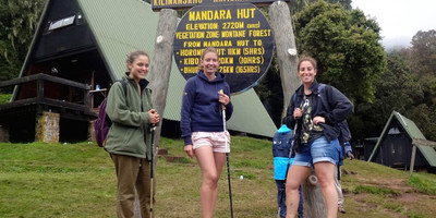 Mount kilimanjaro day trip expedition - Photo 1