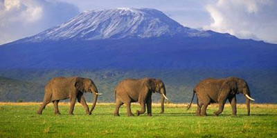 9 DAYS 8 NIGHTS KENYA SAFARIS - Photo 1