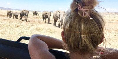 4 day tanzania classic safari - tarangire, serengeti & ngorongoro crater - Photo 1