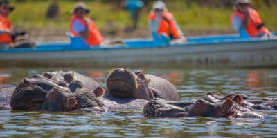Kenya’s top safari adventure: 8 days of game drives & breathtaking views - Photo 2