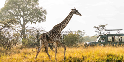 Ultimate 6-day kenya safari: masai mara, lakes nakuru & naivasha, and amboseli adventure - Photo 8
