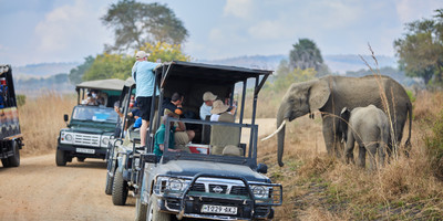 Day trip to mikumi national park by express train - Photo 2