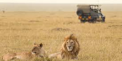 5 days magical choices to lake naivasha/ lake nakuru/masai mara - Photo 3