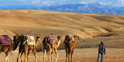 Camel riding in the desert - Photo 1
