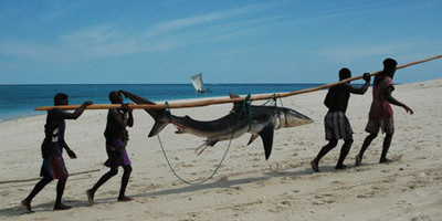 West and south of madagascar in 13 days - Photo 6