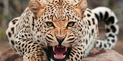 6 days adventure to the maasai mara - Photo 12
