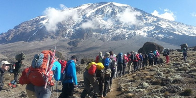 15 days mount rwenzori trekking and breathtaking wildlife safari - Photo 4