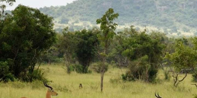 Oswald ghana tours - Photo 4