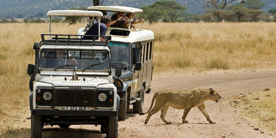 7 Day Safari to Northern Tanzania - Photo 5