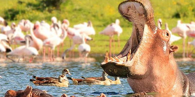 Unforgetable combined safari - Photo 2