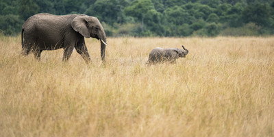 4-day tanzania camping safari - Photo 8